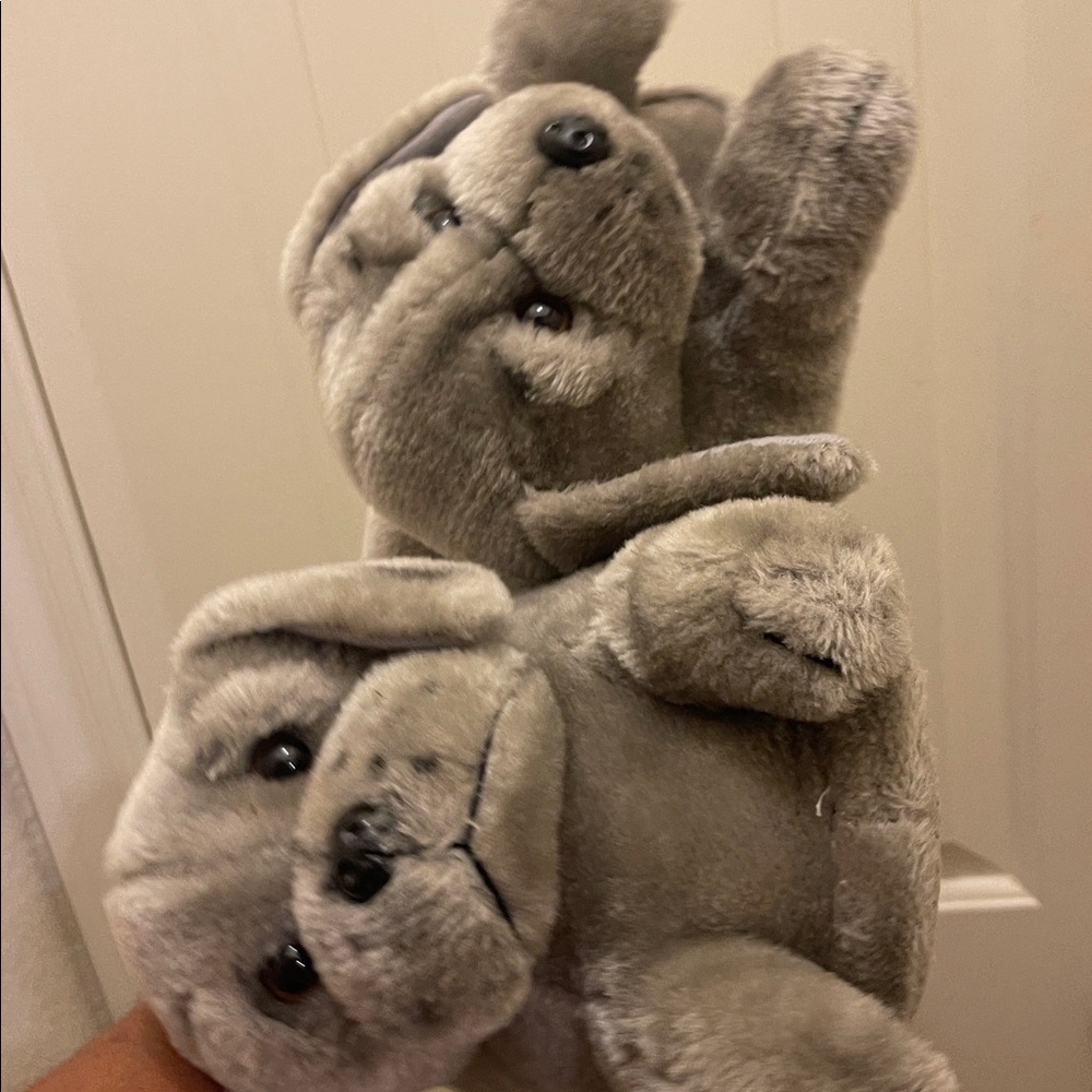 Buy Animal Feet size large shoe please check all picture of condition - Picture 14 of 17